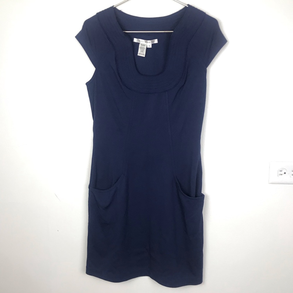 Max studio Dress